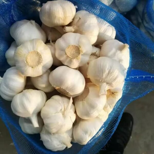 10kg /20kg/1KG Mesh Bag Garlic Fresh Jin Xiang Garlic China Garlic for Wholesale - Image 7
