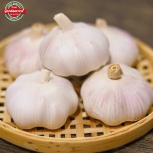 New Arrival Garlic10kg Carton Garlic Wholesale Size 4.5 5.0 5.5 6.0cm Fresh White Garlic