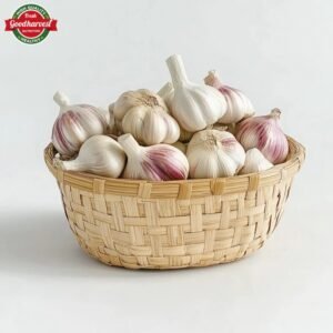 10kg /20kg/1KG Mesh Bag Garlic Fresh Jin Xiang Garlic China Garlic for Wholesale