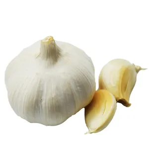 High Quality Normal White Garlic 5.0cm China Factory Direct Fresh Garlic Hot Sale