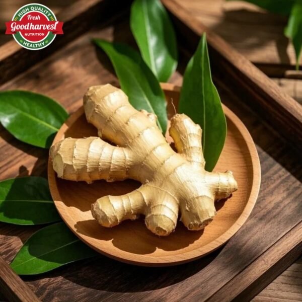 100% Pure Natural Dried Ginger High Quality Fresh Product Directly Supplied - Image 8