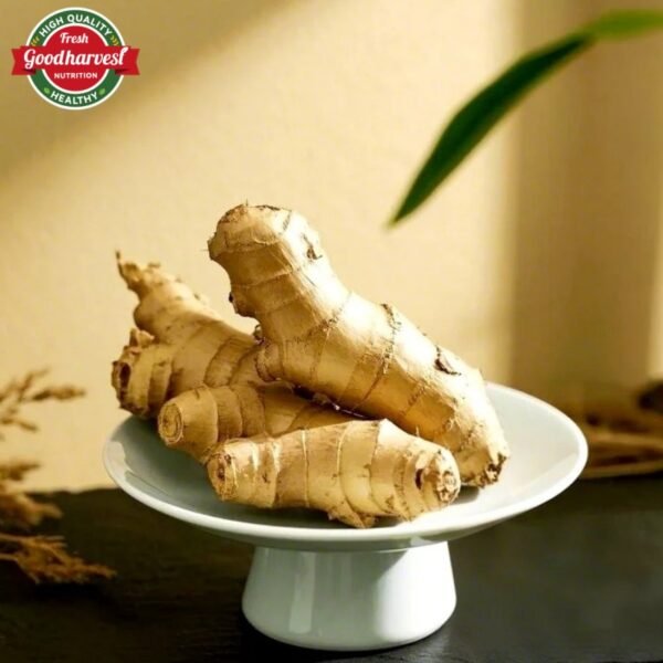 100% Pure Natural Dried Ginger High Quality Fresh Product Directly Supplied - Image 4