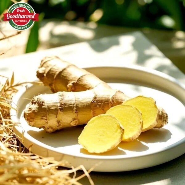 100% Pure Natural Dried Ginger High Quality Fresh Product Directly Supplied - Image 6