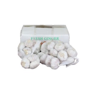 Buy Fresh Garlic High Quality Garlic Wholesale $880~1160/Ton