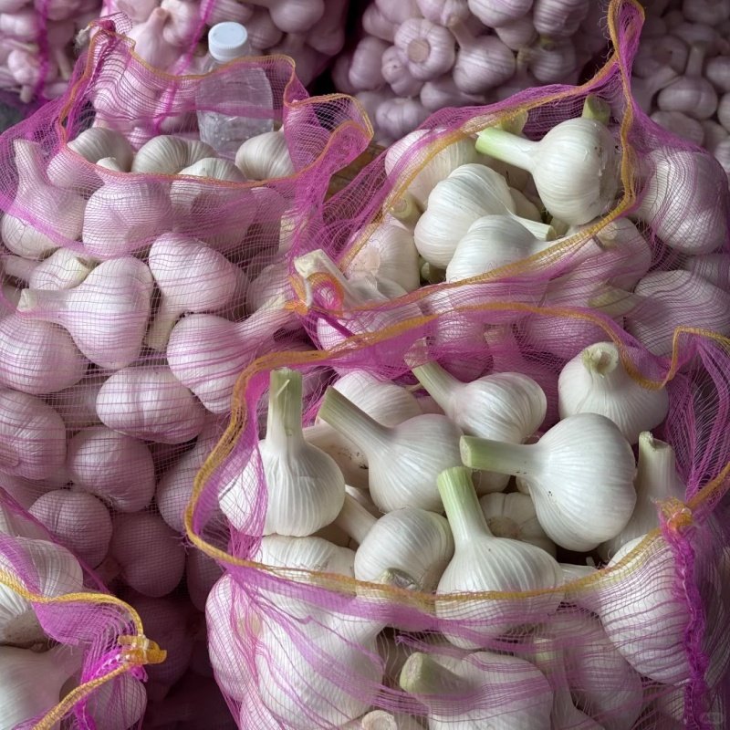 Buy Fresh Garlic High Quality Garlic Wholesale $880~1160/Ton - Image 6