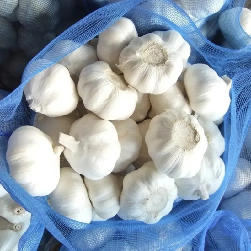 Buy Fresh Garlic High Quality Garlic Wholesale $880~1160/Ton - Image 2