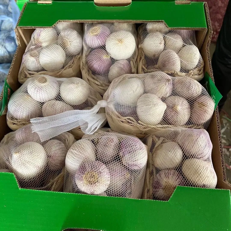 Buy Fresh Garlic High Quality Garlic Wholesale $880~1160/Ton - Image 3