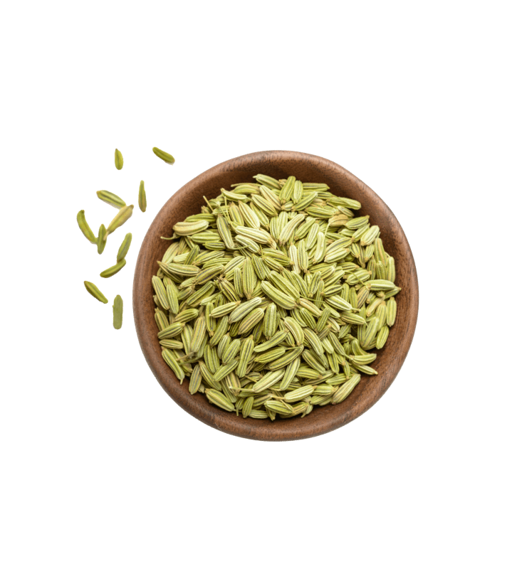 shutterstock_1050508643@2x.png shutterstock_1050508643@2x.png